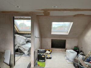 Professional Plastering Essential